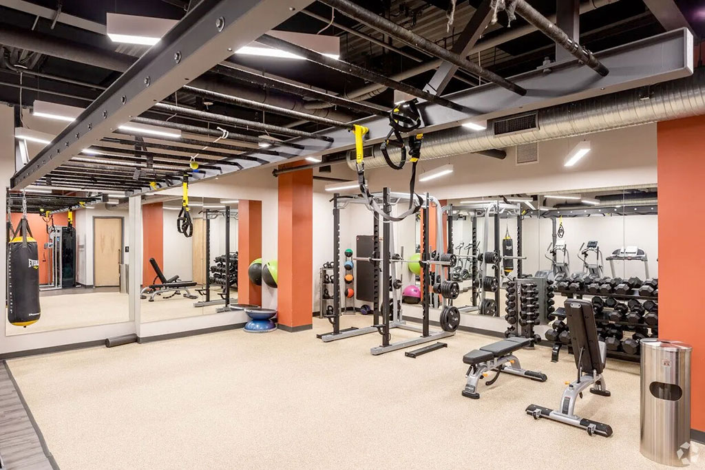 sono-50-office-gym